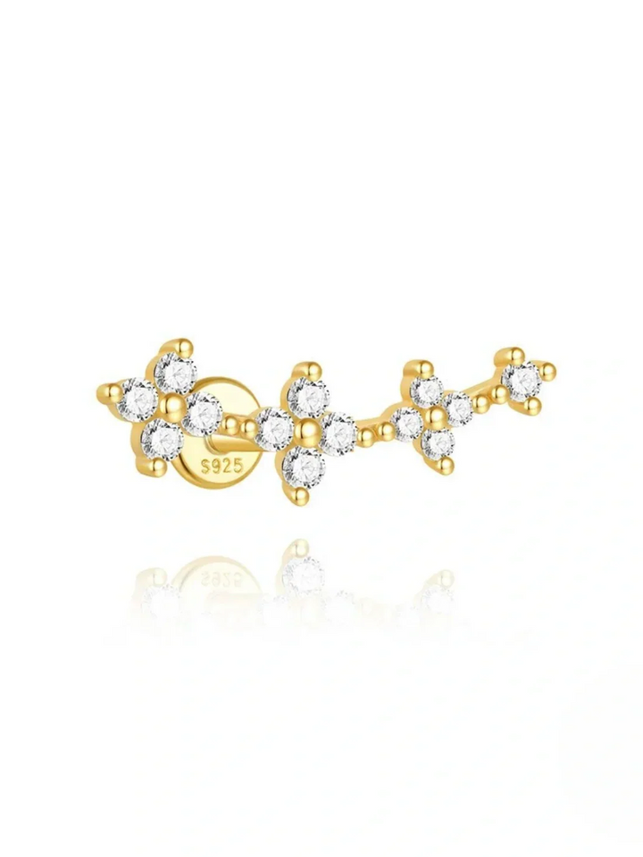 Irinae